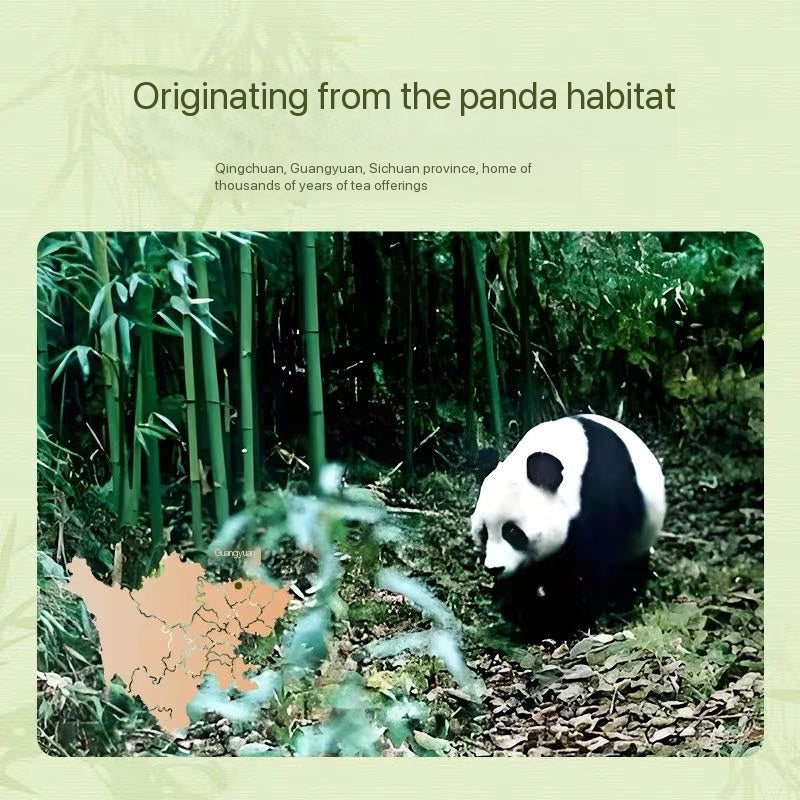 Panda Black Tea, Premium Sichuan Tea, Authentic Junmei Tea