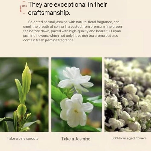jasmine tea